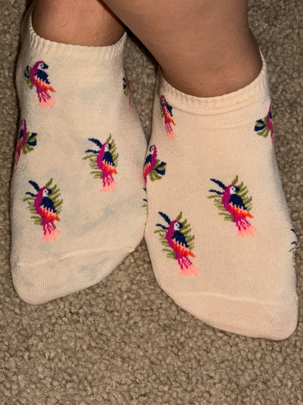 Parrot No-Show Socks